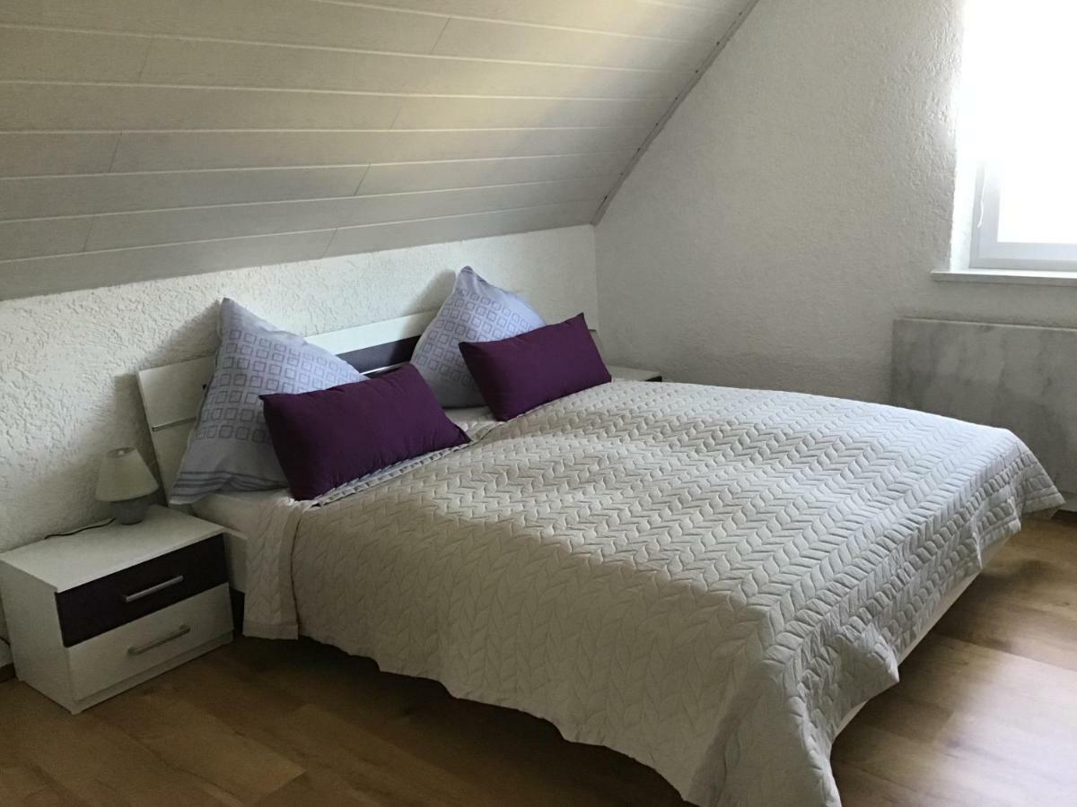 Ferienwohnung Elina Maxhutte-Haidhof Buitenkant foto